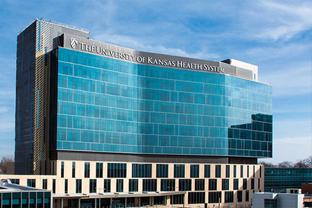 Lighthouse Organization—The University of Kansas Health System